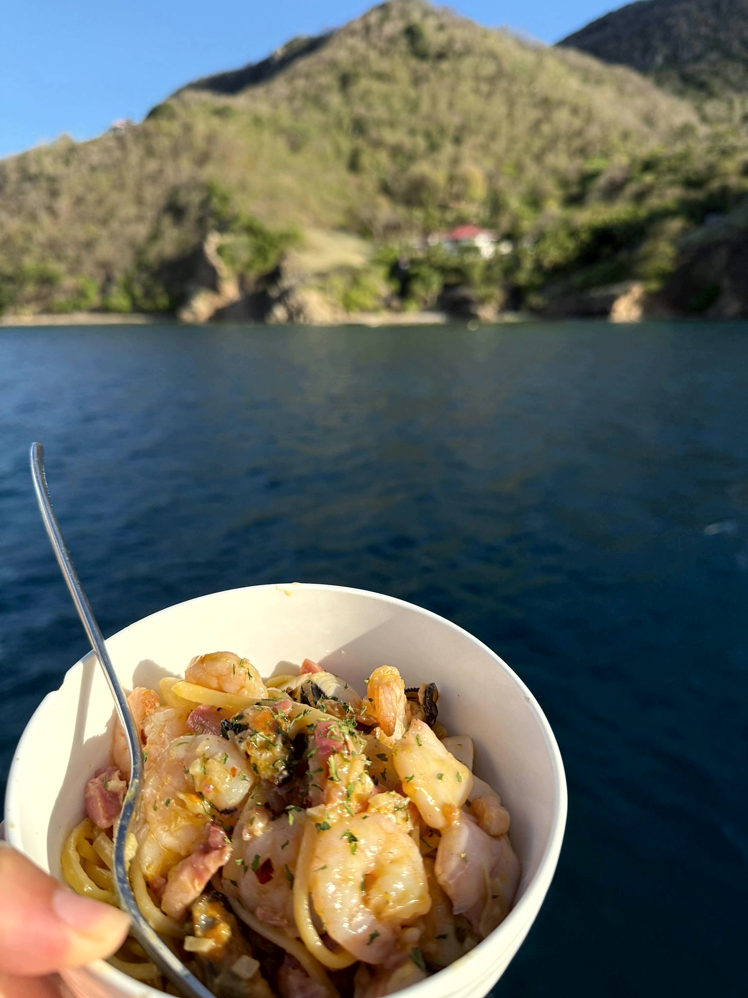 Prawn and pancetta linguine in a white bowl against a BVI mountain backdrop at golden hour